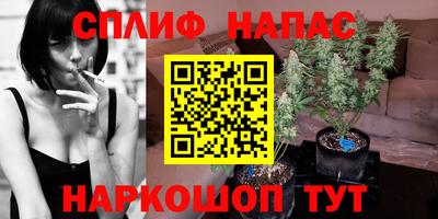 ГАЛЛЮЦИНОГЕННЫЕ ГРИБЫ Малоярославец