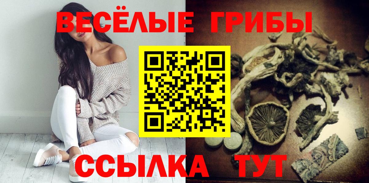 цены наркотик  Псилоцибиновые грибы Psilocybine cubensis  Вход с VPN  Чайковский 