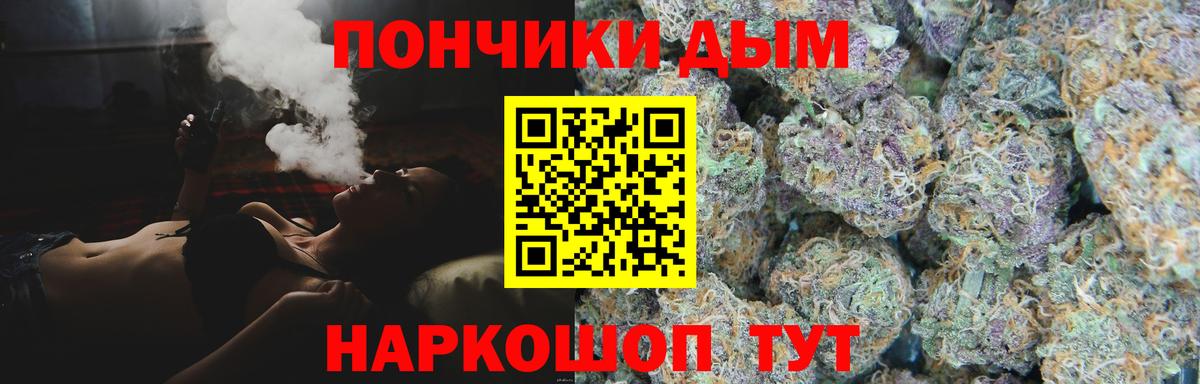 Канабис сатива Чайковский